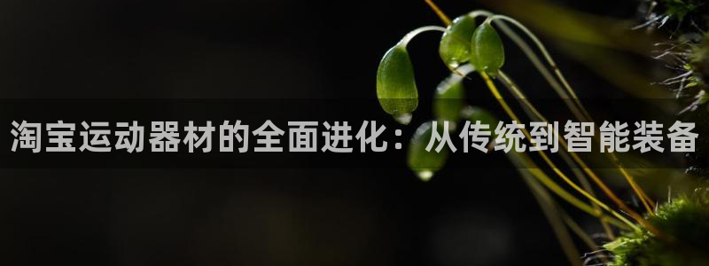 意昂体育4平台是正规平台吗知乎:淘宝运动器材的全面进化:从传