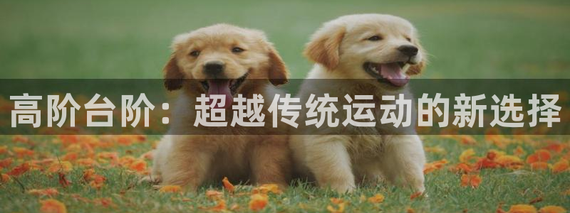 意昂体育4联系电话:高阶台阶:超越传统运动的新选择